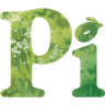Pi logo